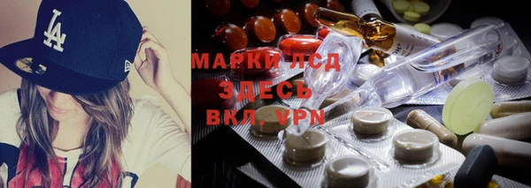 гидра Карталы